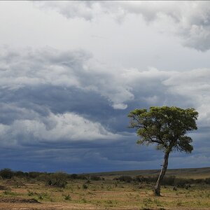 acomp Kenia 20111018 20886