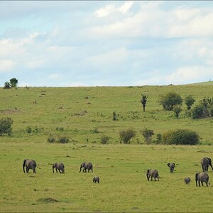 acomp Kenia 20111015 09618a