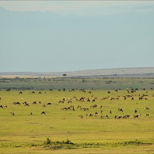 acomp Kenia 20111015 11086