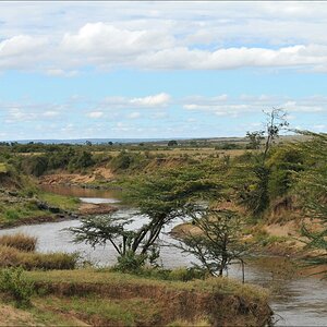 acomp Kenia 20111015 12111a
