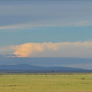 acomp Kenia 20111015 12527