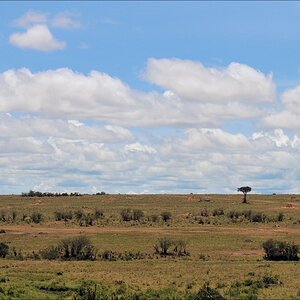 acomp Kenia 20111016 14329