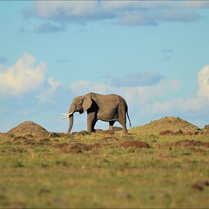 acomp Kenia 20111016 14512