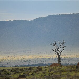 acomp Kenia 20111016 14889