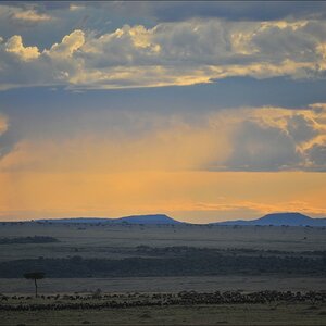 acomp Kenia 20111016 14921a