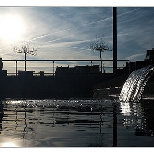 Zufluss Phönix See 4