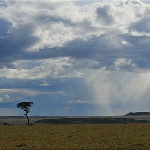 acomp Kenia 20111016 15190