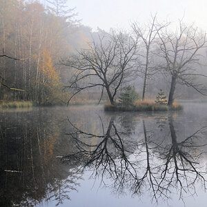 Weiher