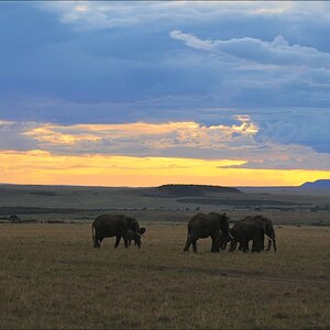 acomp Kenia 20111016 15399