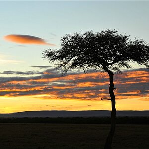 acomp Kenia 20111017 15424