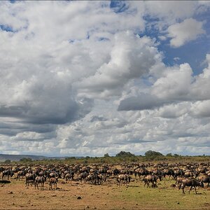 acomp Kenia 20111017 17218