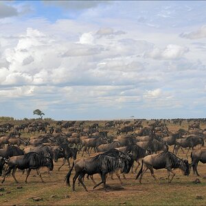 acomp Kenia 20111017 17225