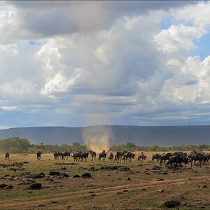 acomp Kenia 20111017 17230