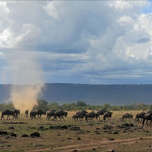 acomp Kenia 20111017 17234