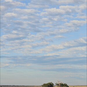 acomp Kenia 20111018 19311