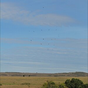 acomp Kenia 20111018 19436