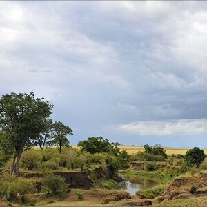 acomp Kenia 20111018 20734