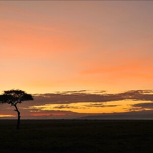 acomp Kenia 20111020 24967