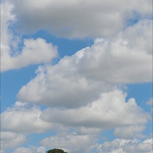acomp Kenia 20111020 26127