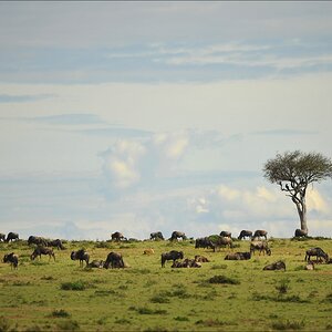 acomp Kenia 20111020 26369