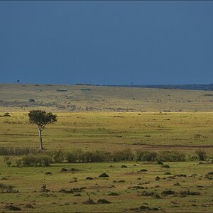acomp Kenia 20111020 26659a