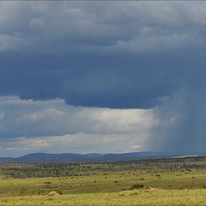 acomp Kenia 20111020 26829