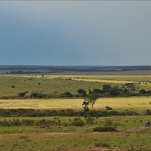 acomp Kenia 20111020 26855