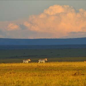 acomp Kenia 20111021 29083