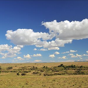 acomp Kenia 20111021 29228