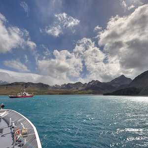 Grytviken