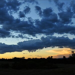 acomp Kenia 20111021 29331