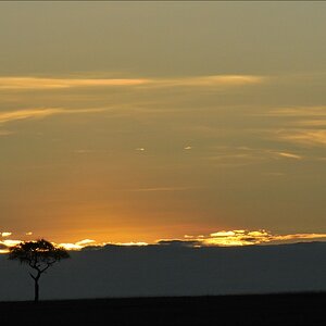 acomp Kenia 20111022 31001