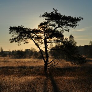 Herbstmorgen im Moor