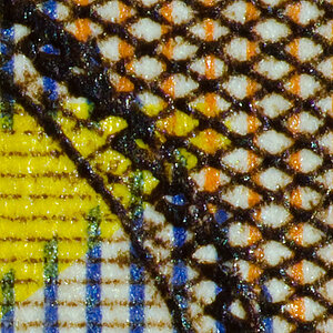 50crop2
