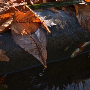 Wassertropfen