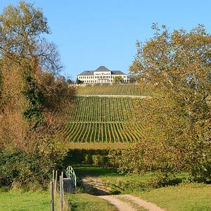 Schloss Johannisberg