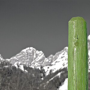 Grünpfahl 1
