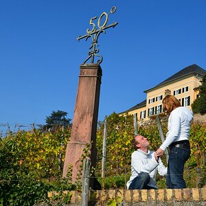 Der 50. Breitengrad