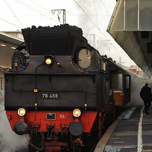 20111218 2070 [NIKON D3] 70 mm,1 250 Sek. bei ƒ   5,0
