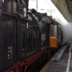 20111218 2072 [NIKON D3] 70 mm,1 250 Sek. bei ƒ   5,0