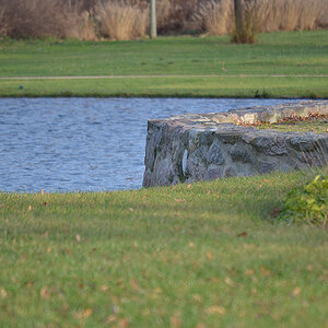 Schlosspark 2011 12 29 59
