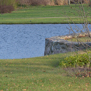 Schlosspark 2011 12 29 56