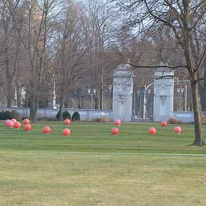 Schlosspark 2011 12 29 52