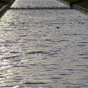 Schlosspark 2011 12 29 29