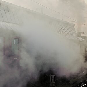 20111218 2096 [NIKON D3] 70 mm,1 250 Sek. bei ƒ   5,0