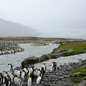 Andrewsbay1