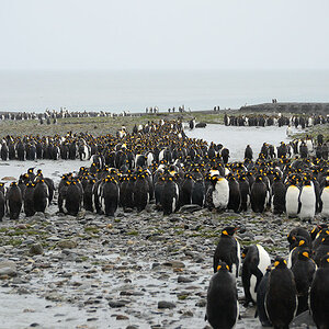 Andrewsbay3