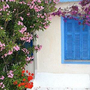 Oleander Garden