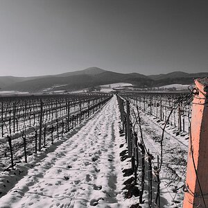 Weinberg