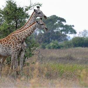 DSC 5827